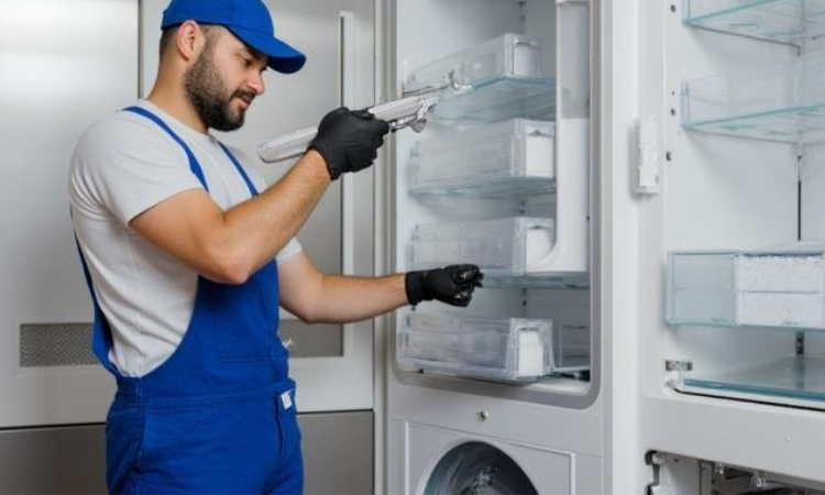 Aliağa Derin Dondurucu Servisi